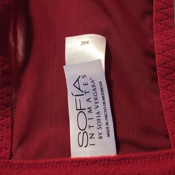 36 C Sofia Intimates minimizer underwire bra NWT - Picture 6 of 9